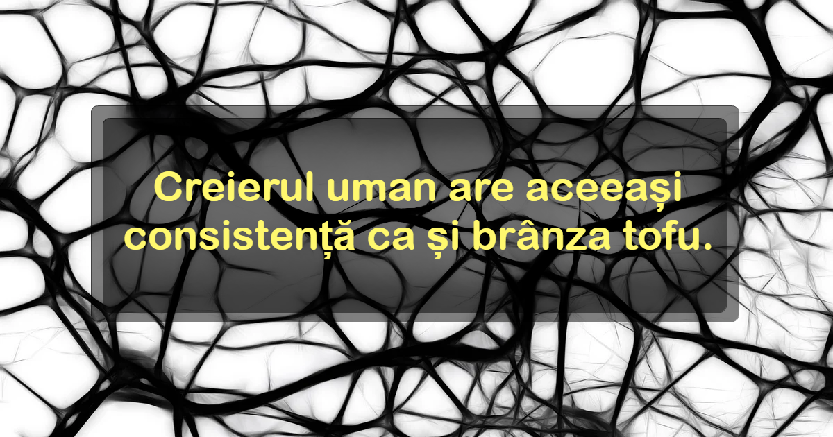 ☝️10 Informații Puțin Cunoscute, Care îți Pot Salva Viața într-o Zi ...