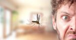 Oamenii de știință au descoperit cele 4 culori preferate ale țânțarilor: află care sunt acestea !