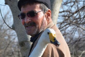 Pasărea deja de 37 de ani trăiește cu bărbatul care i-a salvat viața