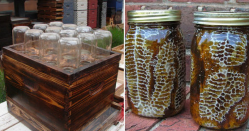 Un domn a găsit o metodă inedită de a salva albinele și de a produce miere organică, în condiții de casă