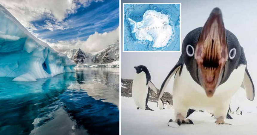 10 curiozităţi despre Antarctica, cel mai mare deşert din lume