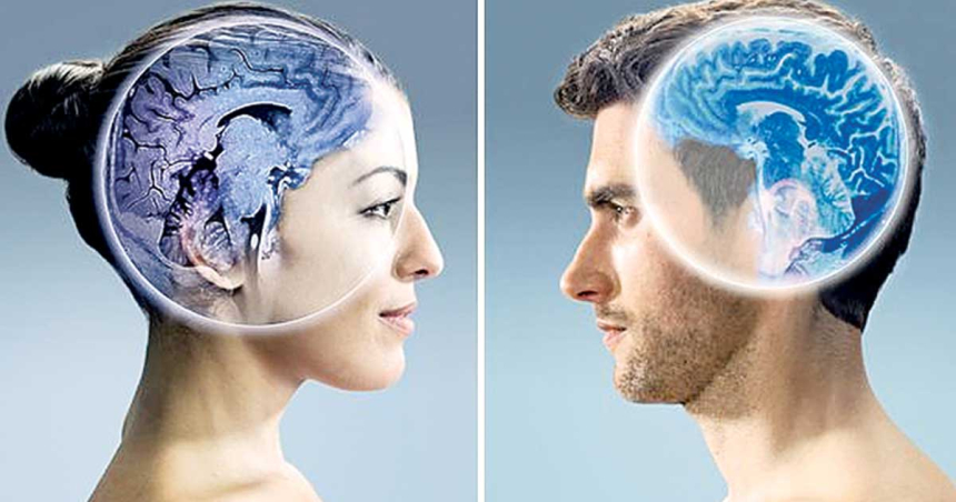 Există vreo diferenţă între creierul unei femei şi cel al unui bărbat? Ce spune ştiinţa