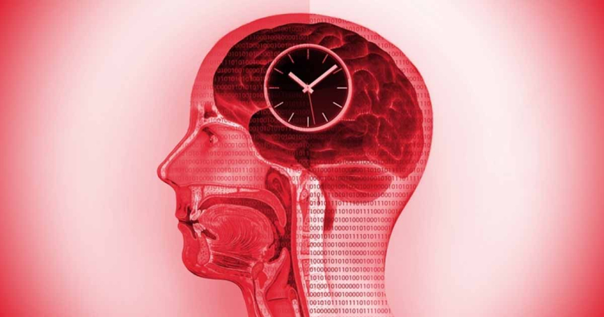 Postul intermitent produce modificări dinamice la nivelul creierului, conform ultimelor studii
