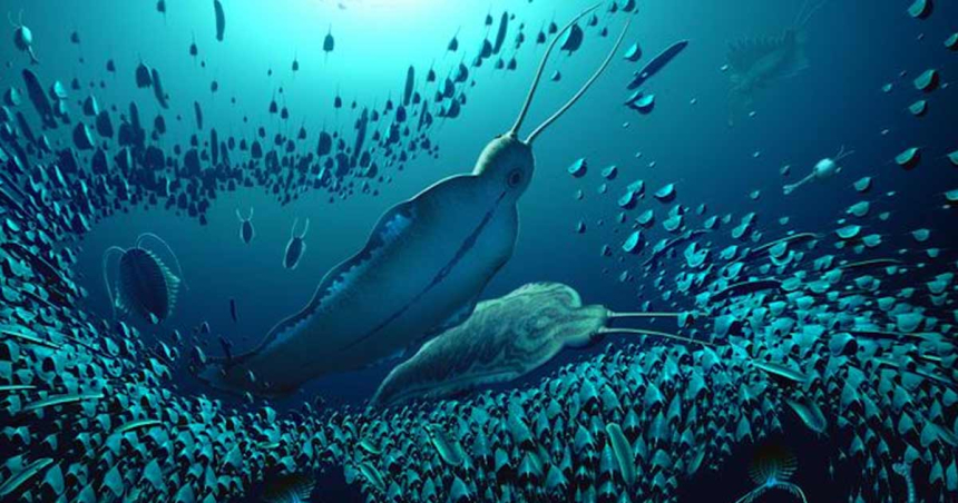 Cu 500 de milioane de ani în urmă, aceste „bestii ale terorii” stăpâneau mările lumii. Da, sunt viermi uriaşi