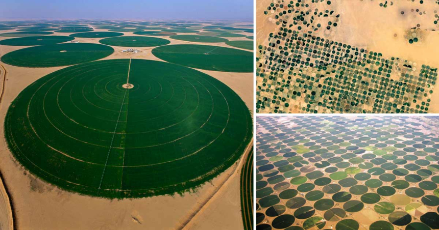 Ce sunt cercurile verzi misterioase din deşerturile Egiptului şi Arabiei Saudite şi cum produc acestea mâncare pentru milioane de oameni