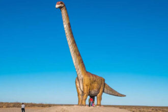 Care a fost cel mai mare animal care a pășit vreodată pe Pământ?