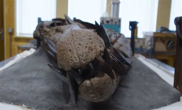 craniu gigantic de monstru marin