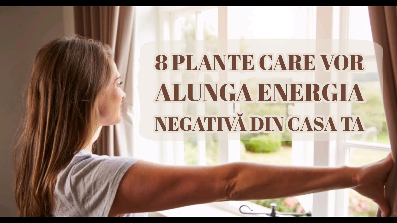 8 plante care vor alunga energia negativă din casa ta   